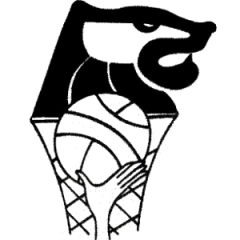Logo Vecio Basket San Don&agrave;
