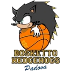 Logo Bosketto Hedgehogs Basket Padova