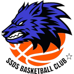 Logo SSDS Basket Club Avellino