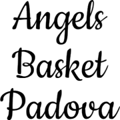 Logo Angels Basket Padova
