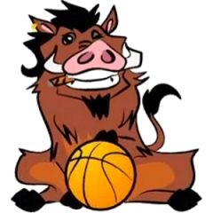 Logo Wild Boars