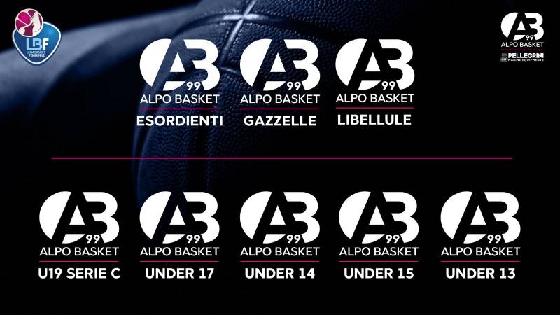 AlpoBasket99_2024-11-09B69C13E7-EB3F-4253-AB70-0A65399DE5A8.jpeg AlpoBasket99_2024-11-09B69C13E7-EB3F-4253-AB70-0A65399DE5A8.jpeg