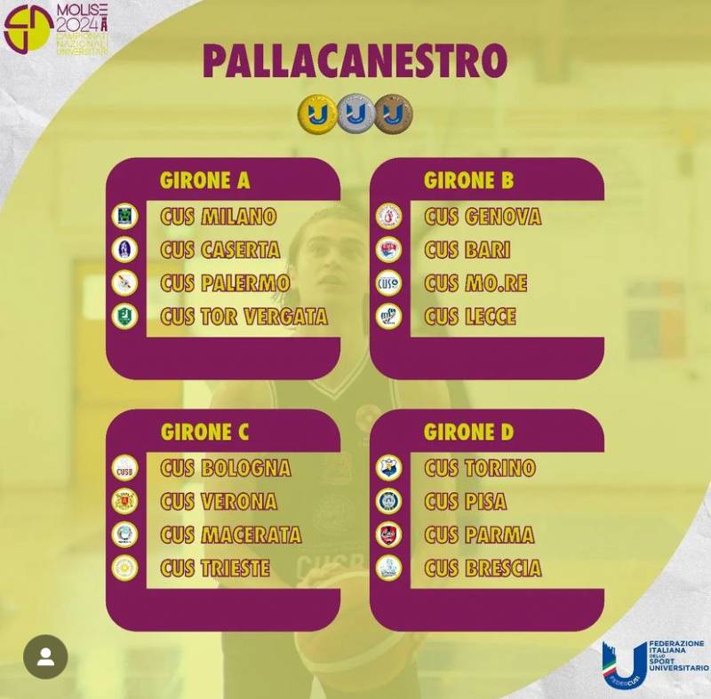CusVerona_2024-05-1533DF291B-DB03-4CEF-8AFE-85AE58693B53.jpeg CusVerona_2024-05-1533DF291B-DB03-4CEF-8AFE-85AE58693B53.jpeg