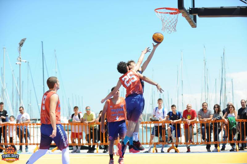 New Basket Brindisi campione U20 e tris di coppe per Murgia Santeramo. Ecco tutti i risultati