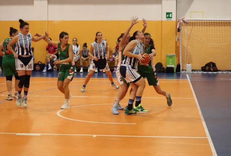 D'Avino Consulting LBW, il tris è servito. Anche Tradate finisce al tappeto