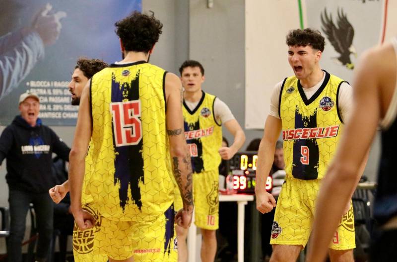 I Lions Bisceglie graffiano in difesa e regolano il Bramante Pesaro 