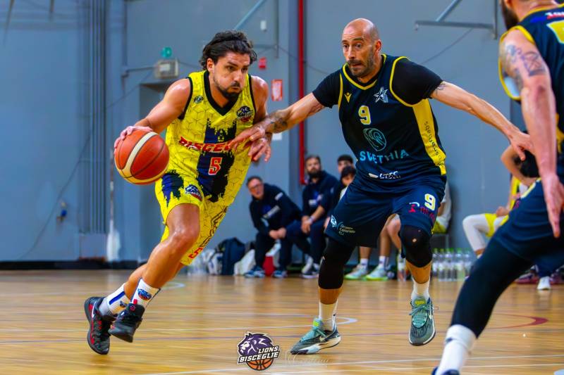 Lions Bisceglie sconfitti da Recanati