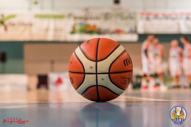 Domenica il via al precampionato dei Lions Bisceglie