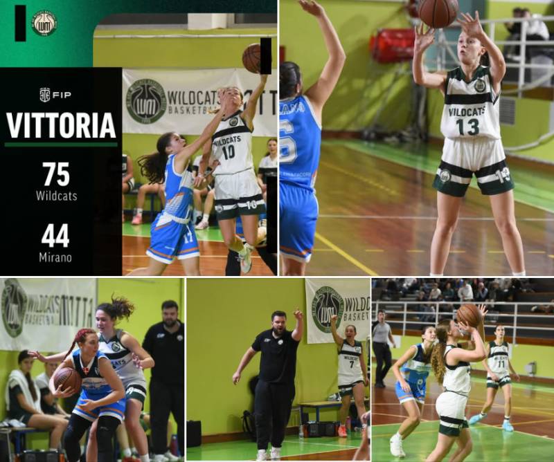 Vittoria in casa contro mirano per le Wildcats 