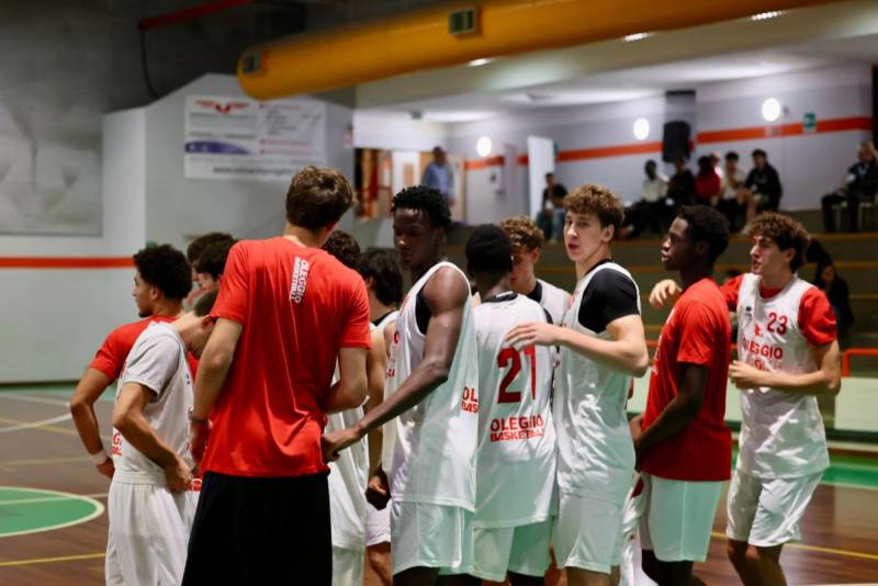 Squali da super avvio poi cedono a Varese Academy 