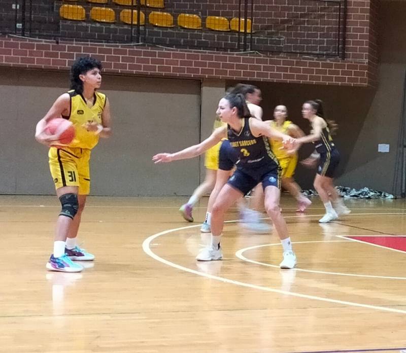 OMA Basket Trieste - Basket Sarcedo 38-66