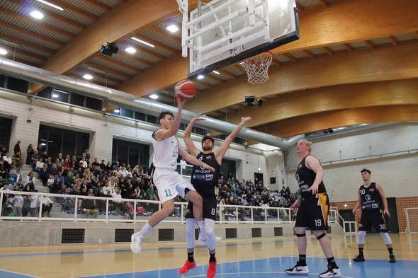 6a giornata | Cantine Paladin Ormelle vs New B. San Dona' 88-73 