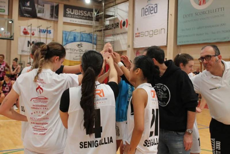 Senigallia non riesce a centrare la salvezza diretta all'ultima partita