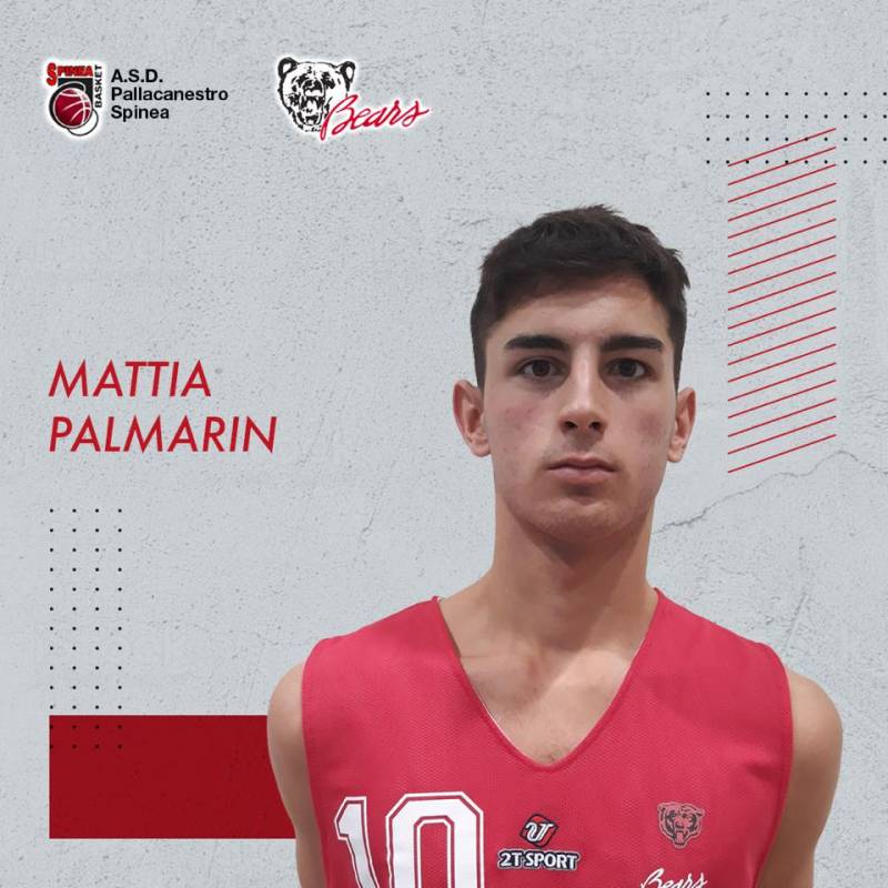 Mattia Palmarin sarà un giocatore della Pallacanestro Bears Spinea per la terza stagione consecutiva