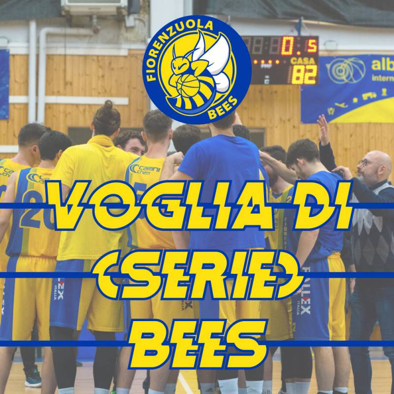 Serie B: Fiorenzuola Bees chiede ufficialmente il ripescaggio