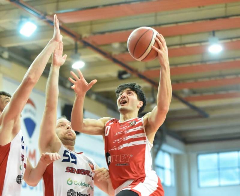 Halley scintillante, sbancata Senigallia 