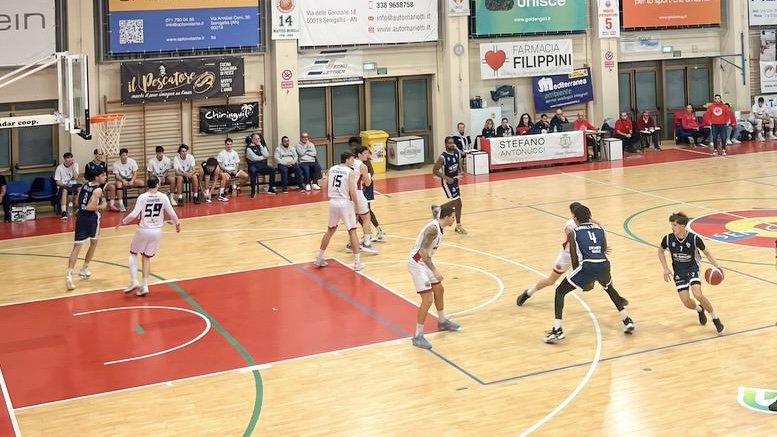 Virtus 7 bellezze! Cinica e determinata espugnata Senigallia in un match thrilling 