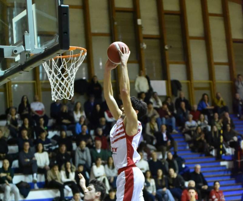 Halley esagerata, Senigallia abbattuta 