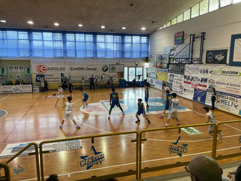 Bondi Vis 2008 Ferrara trionfa contro i Bees e centra il terzo posto in classifica 