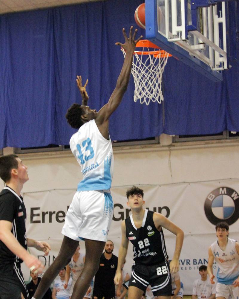 Bondi Vis 2008 stende la Virtus al Palapalestre 