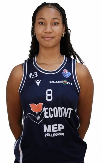 AlpoBasket99_2026-07-2244F4EC16-FC4A-4421-BCFB-0AC665F2AAE6.jpeg