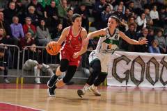 GSJollyCLIBasketLivorno_2025-06-30WhatsApp_Image_2025-06-11_at_104246.jpeg