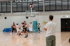 PallacanestroTeamMedolla_2025-06-2870ac3a_0da316f570d5420e9db957aee45e8bbdmv2_1.jpeg