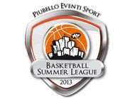 Logo Basketball Summer League 2013