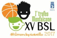 Logo XV° Summer Basketball League
